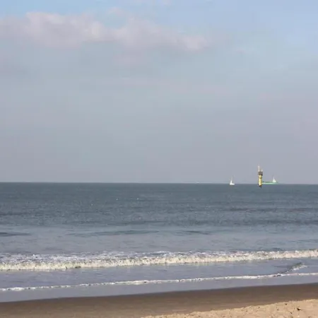 Seafront Palm Apartament