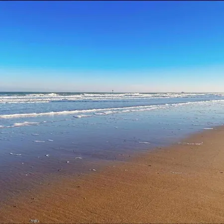 Seafront Palm Knokke-Heist