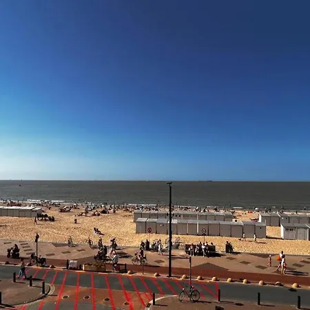 Seafront Palm *