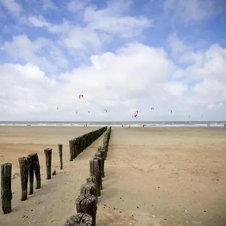Seafront Palm Knokke-Heist