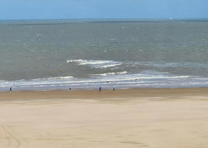 Seafront Palm * Knokke-Heist