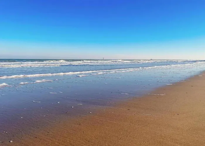 Seafront Palm Knokke-Heist