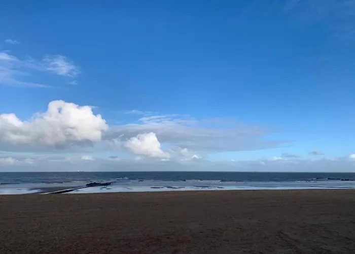 Seafront Palm Lägenhet Knokke-Heist