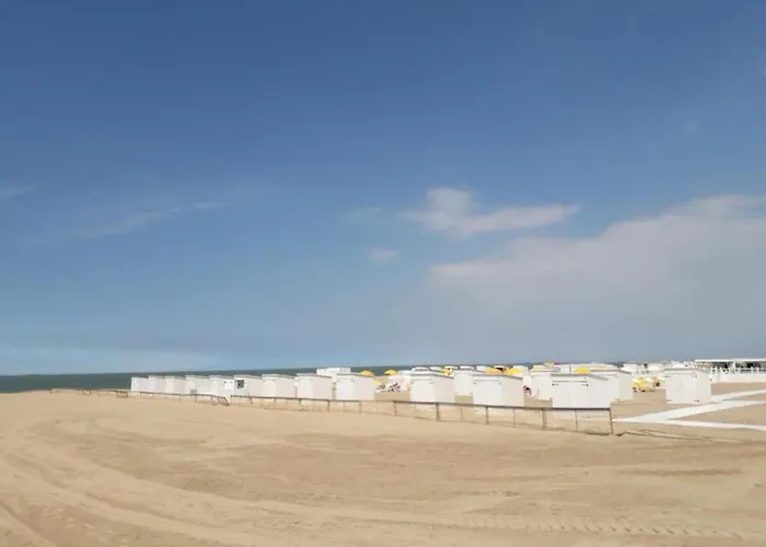 Lägenhet Seafront Palm