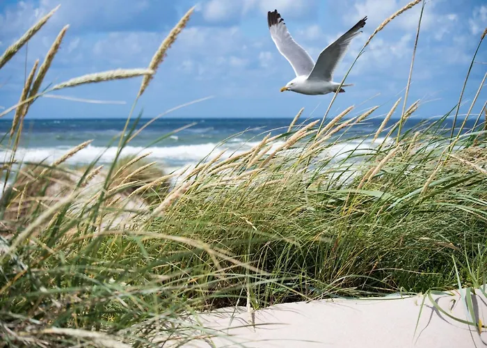 Lägenhet Seafront Palm *